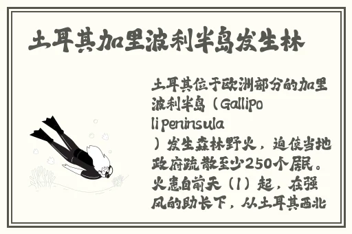 成品短视频app源码入口在哪